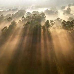 Mouskouris Vasilis – Cyclothemia