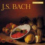 Bach J.S. - Chaconne from the Partita for Violin No.2